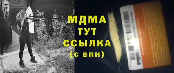 индика Алексин
