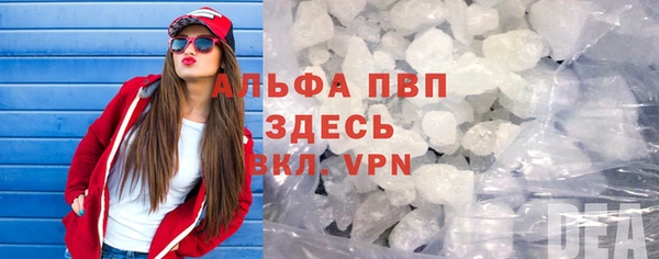 индика Алексин