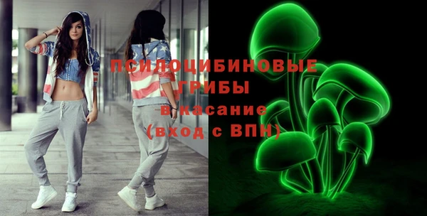 тгк Алзамай