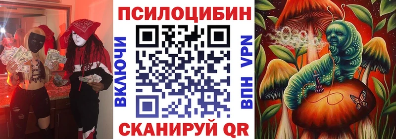 Псилоцибиновые грибы мицелий  продажа наркотиков  Славск 